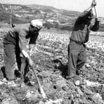 I contadini e la lotta per la terra in Calabria