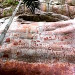 Nella Foresta Amazzonica 12 chilometri di pitture rupestri di 12.500 anni fa