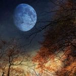 Storie calabresi – “Lo zampognaro sulla luna”
